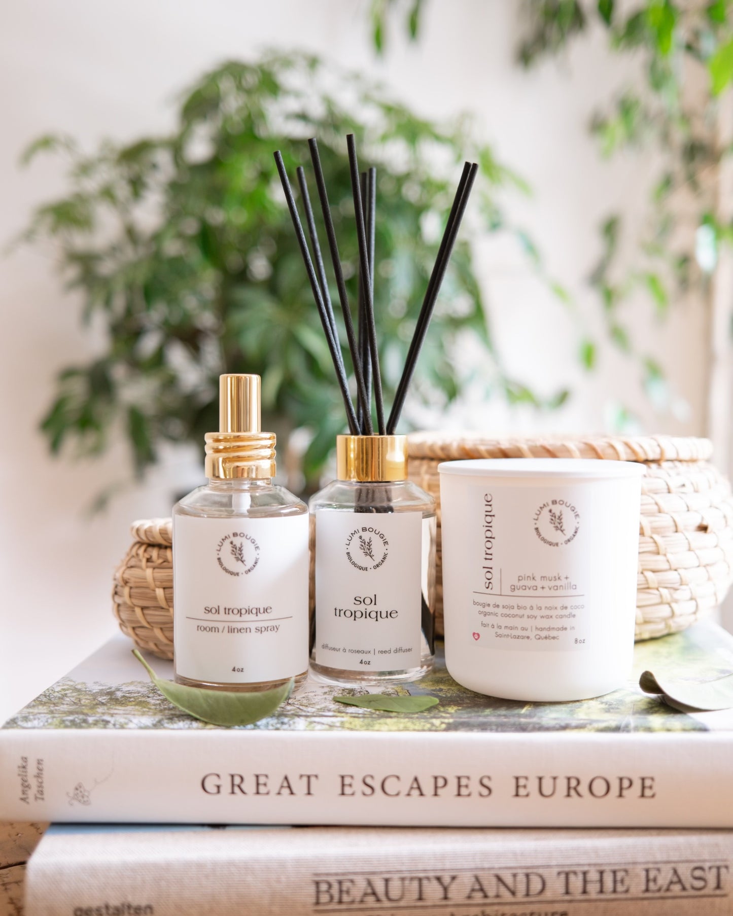Reed Diffusers - Endless Summer