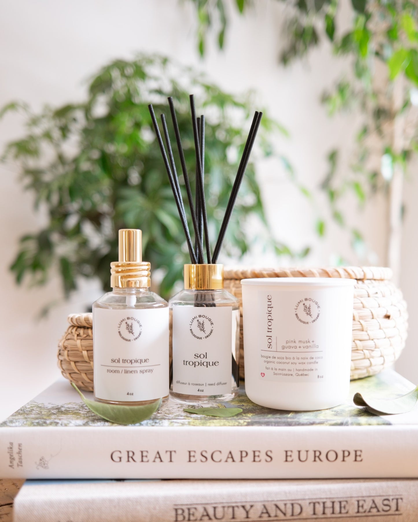 Reed Diffusers - Endless Summer