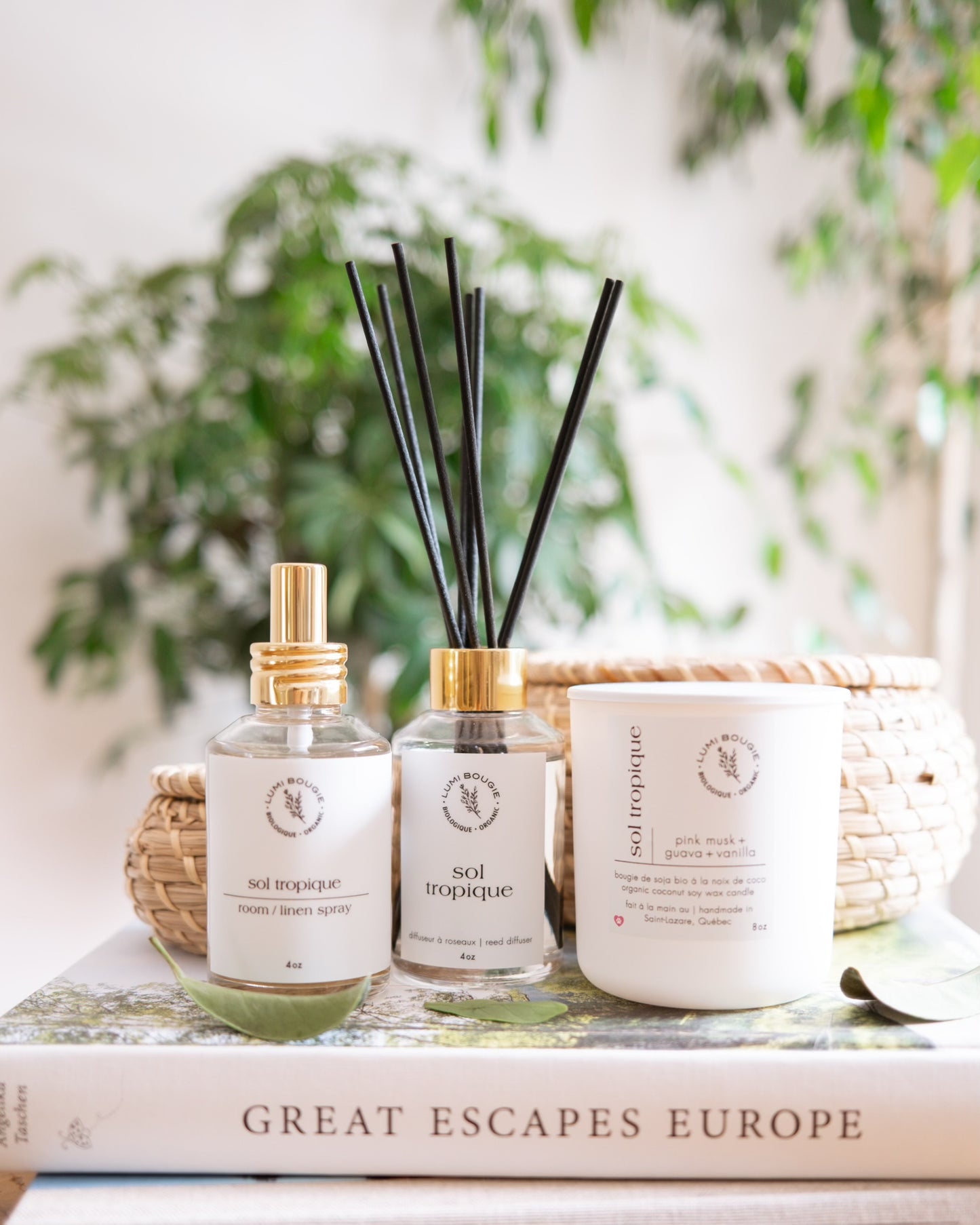 Reed Diffusers - Endless Summer